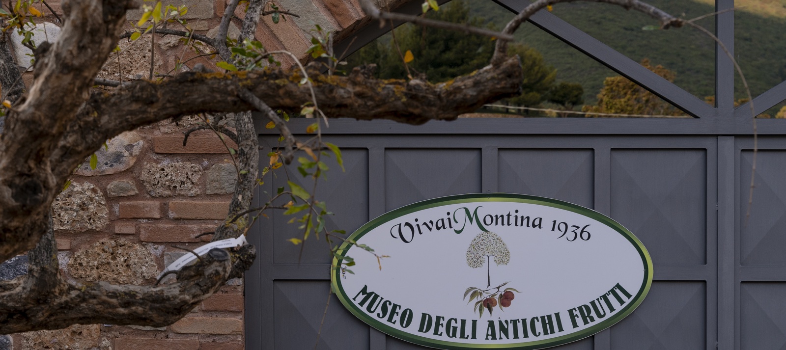 museo antichi frutti insegna